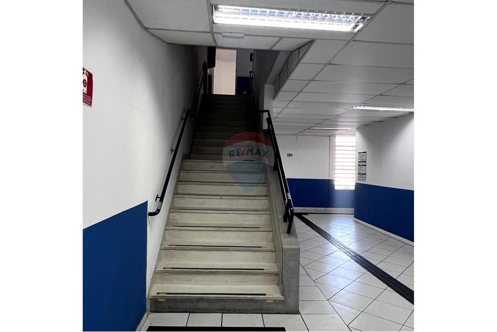 Prédio - Alugar - São Paulo , São Paulo - IMG_3339.jpg - 601261095-6