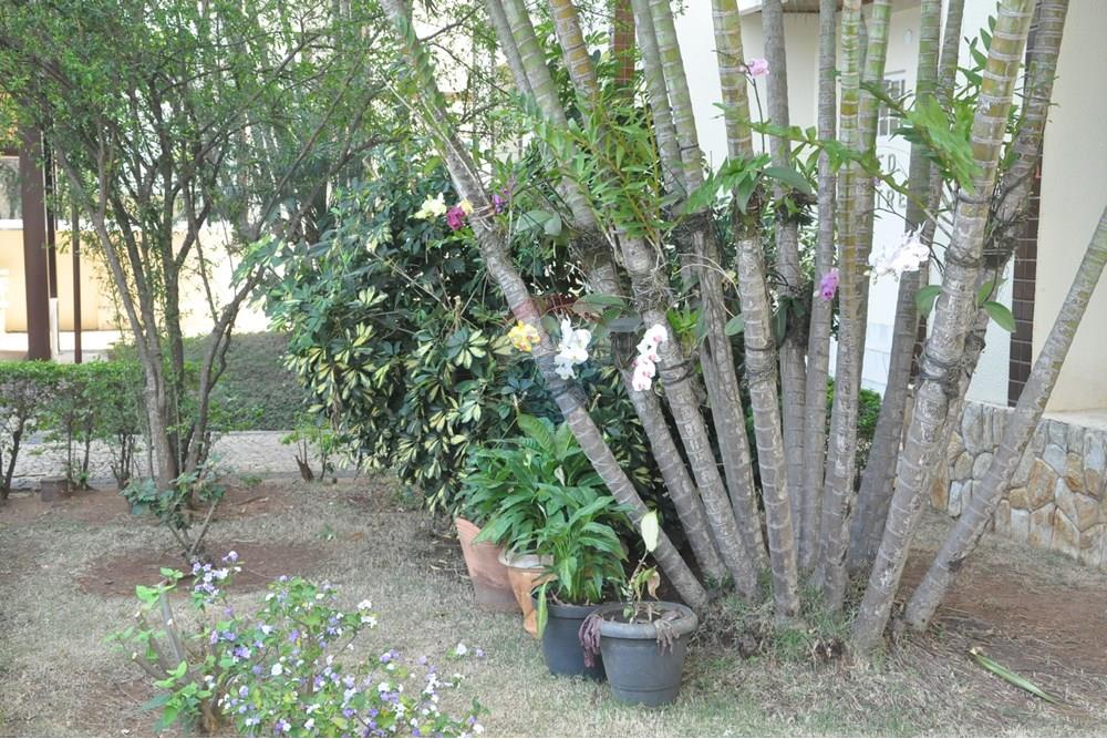 Apartamento - Venda - Campinas , São Paulo - DSC_7058.JPG - 602101011-112