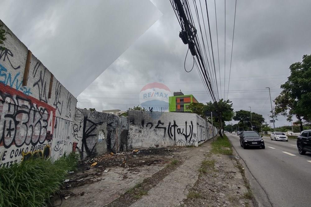 Terreno - Alugar - São Paulo , São Paulo - IMG_20241215_102320220_HDR.jpg - 602181002-126