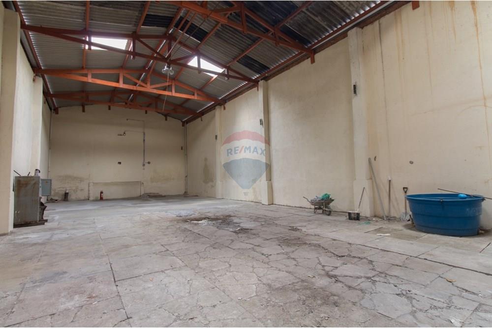 Galpão - Alugar - São Paulo , São Paulo - glpão10.jpg - 602141003-247