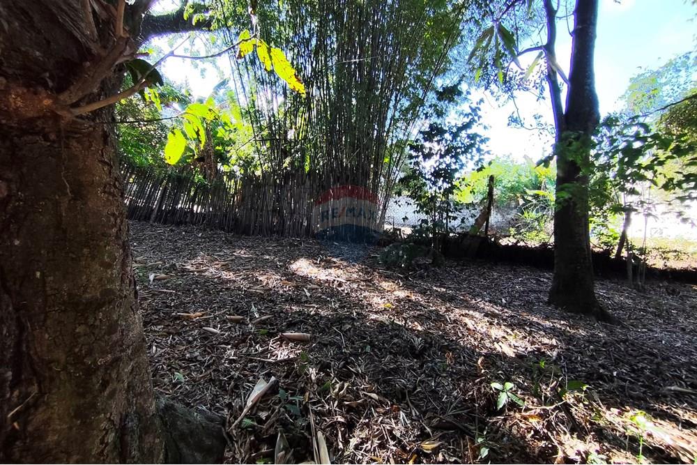 Wohnung - Grund - Ferraz de Vasconcelos , Sao Paulo - BR - IMG_20250918_150053.jpg - 601451005-109