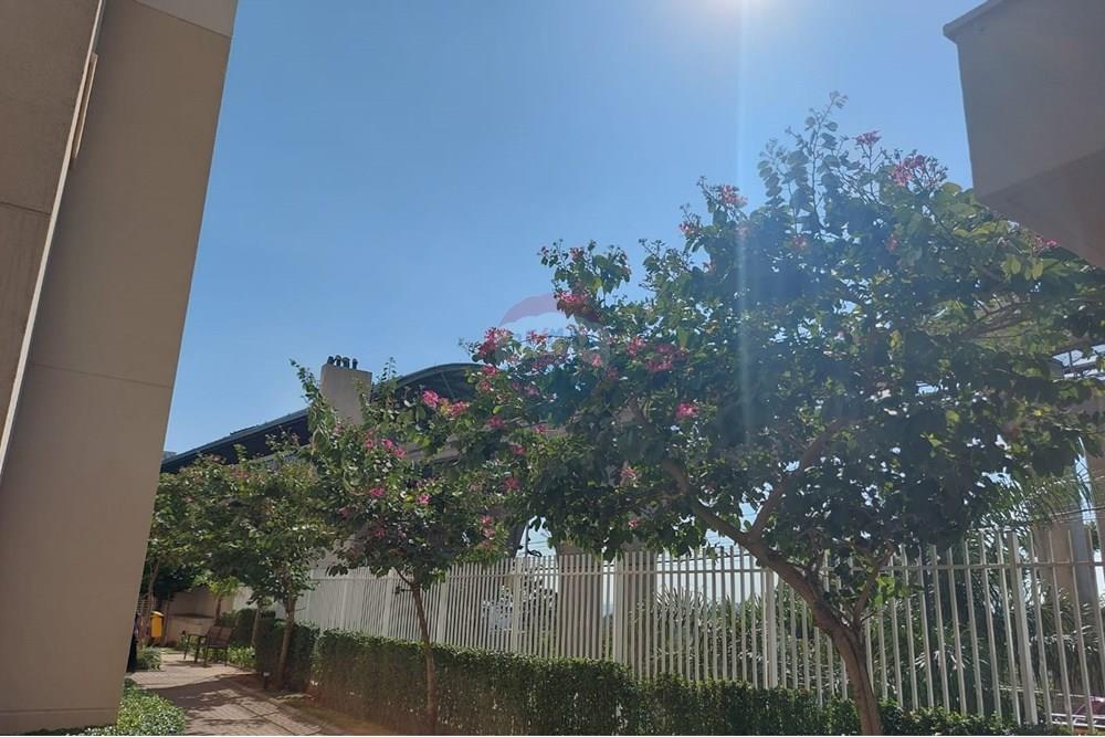 Apartamento - Venda - São Paulo , São Paulo - WhatsApp Image 2025-05-22 at 12.49.39.jpeg - 602061008-138