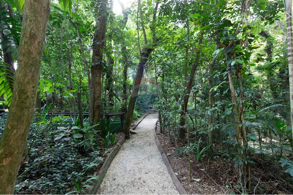 Apartamento - Venda - São Paulo , São Paulo - 73 Bosque.jpg - 601971072-30