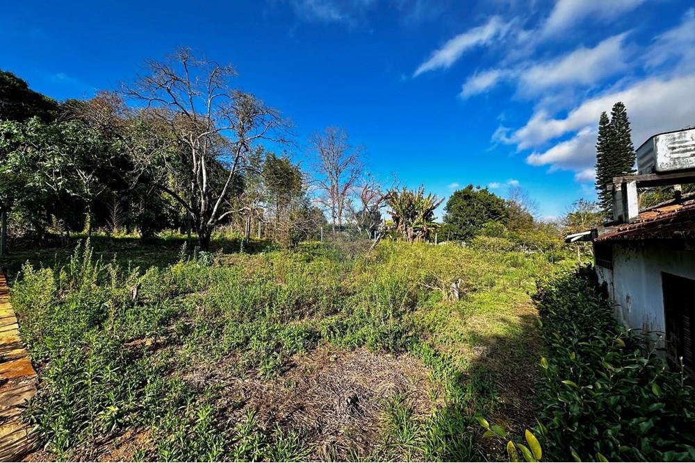 Casa - Venda - Cotia , São Paulo - IMG_8961.jpg - 602331010-36