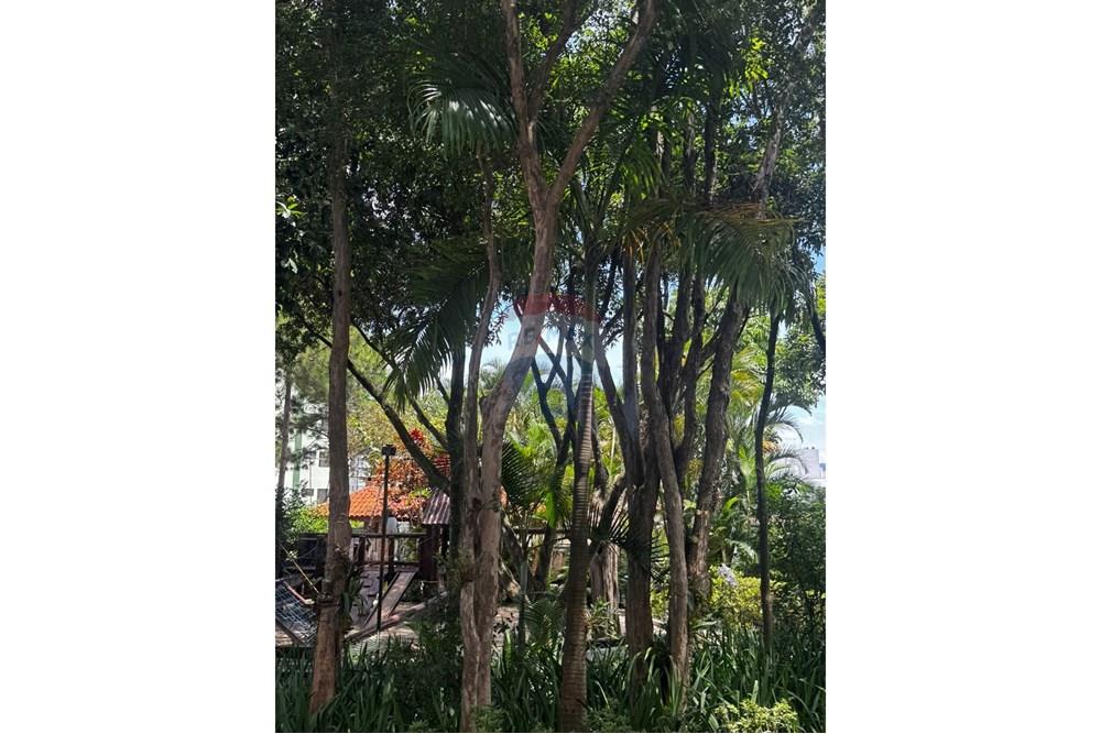 Apartamento - Venda - São Paulo , São Paulo - WhatsApp Image 2025-02-05 at 14.45.17.jpeg - 602341026-3