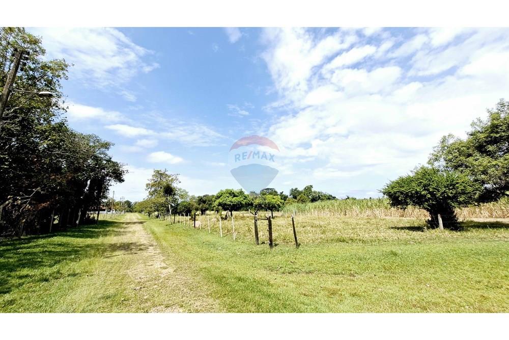 Fazenda - Venda - Itapetininga , São Paulo - SITIO ITAPETININGA (93).jpg - 602301007-5