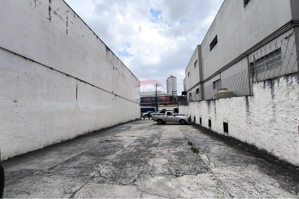 Terreno - Alugar - São Paulo , São Paulo - WhatsApp Image 2025-03-14 at 14.43.57.jpeg - Pátio interno - 602161002-57
