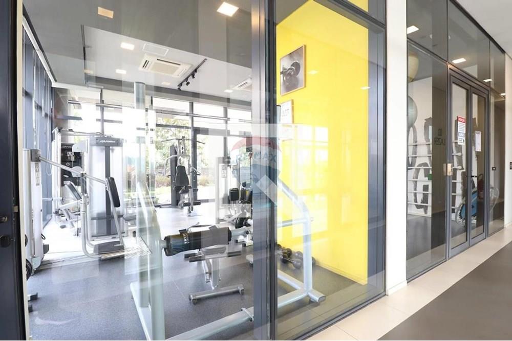 Apartamento - Alugar - São Paulo , São Paulo - IMG-20251015-WA0016.jpg - 602341018-26