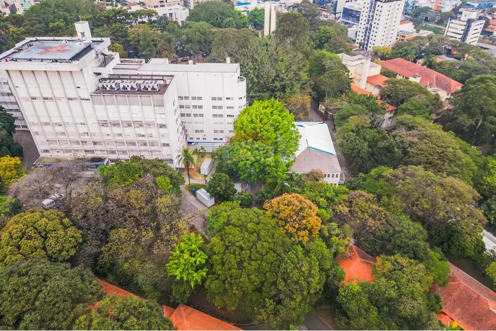 Cobertura - Venda - São Paulo , São Paulo - DJI_0466.jpg - 602291018-165