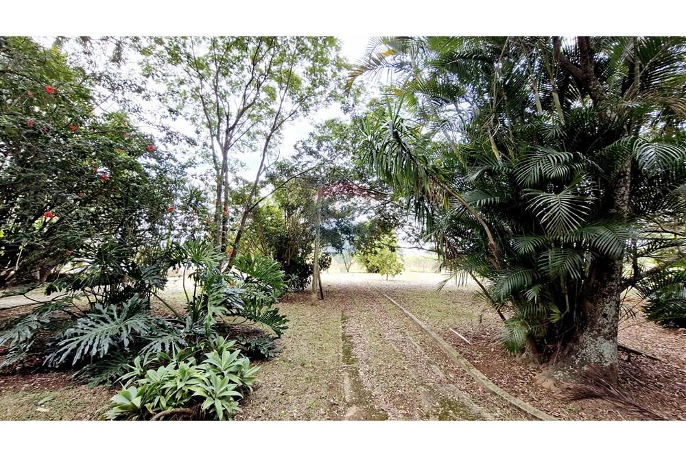 Fazenda - Venda - Itapetininga , São Paulo - SITIO ITAPETININGA (83).jpg - 602301007-5