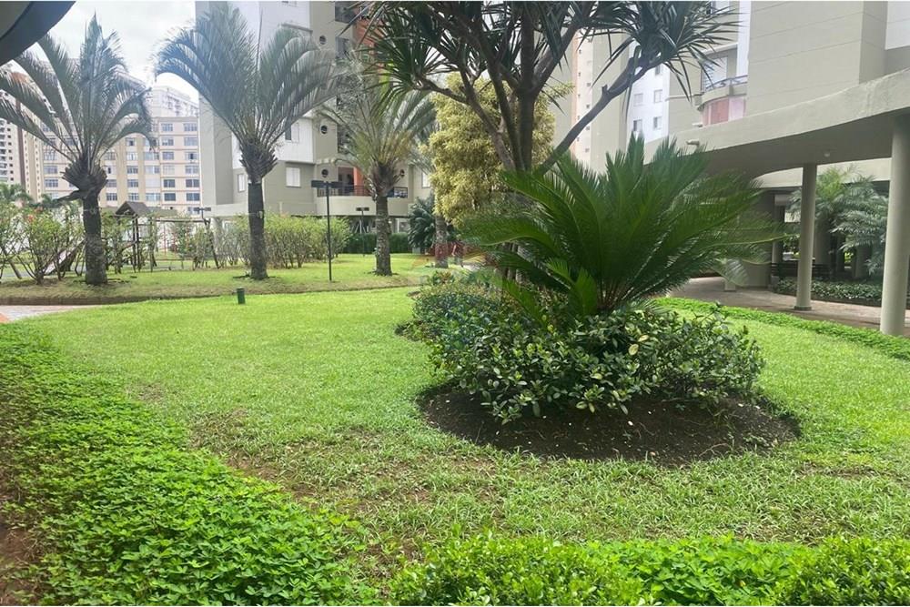 Apartamento - Alugar - São Paulo , São Paulo - WhatsApp Image 2024-11-14 at 12.29.47 (10).jpeg - 601261089-465