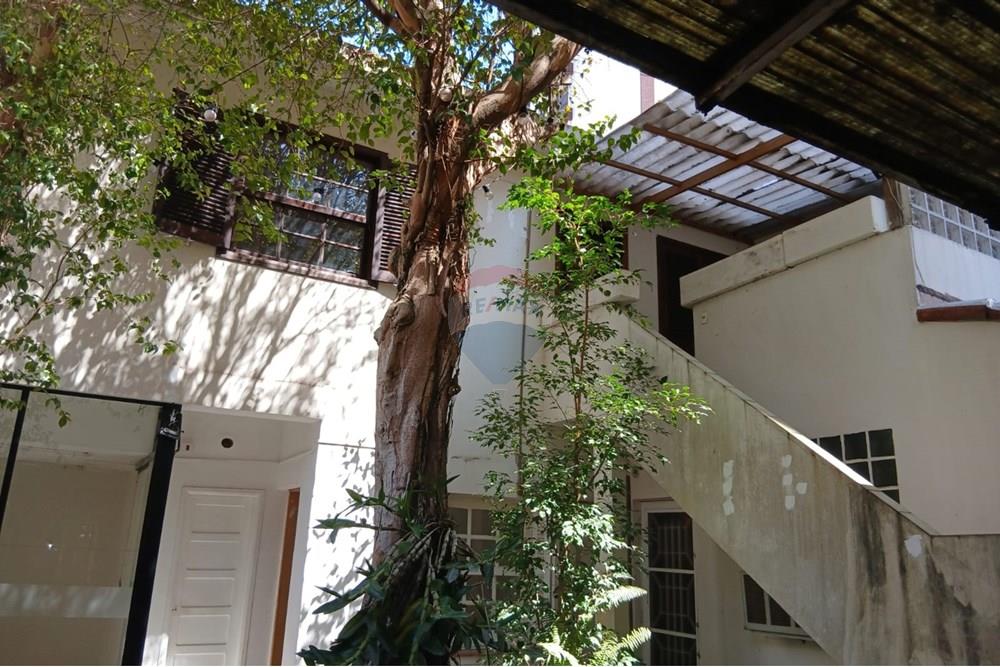 Casa Comercial - Alugar - São Paulo , São Paulo - WhatsApp Image 2025-08-19 at 13.19.15.jpeg - 601971016-496