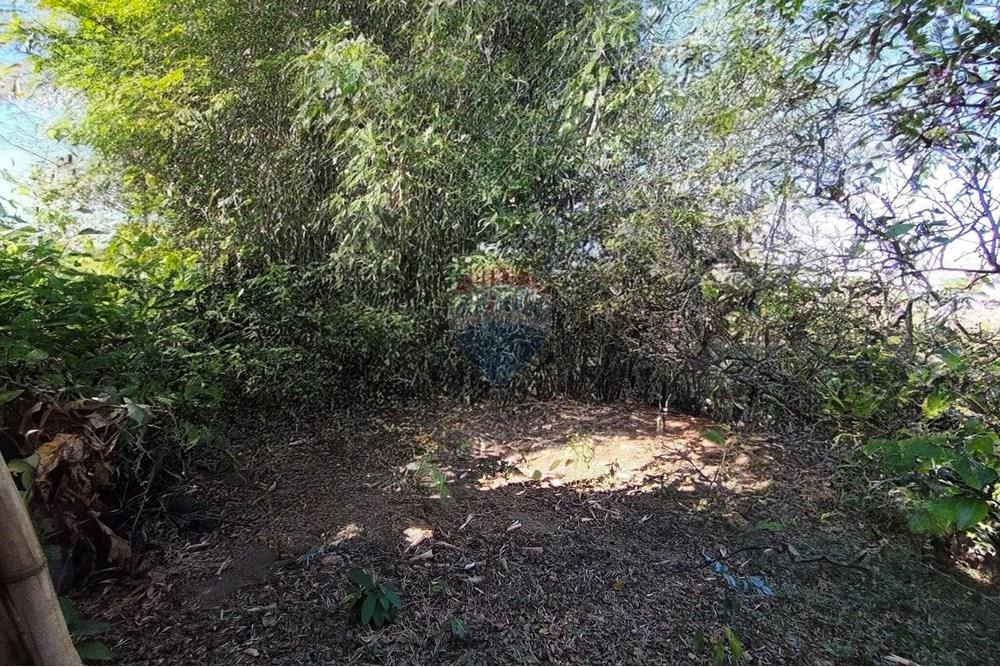 Wohnung - Grund - Ferraz de Vasconcelos , Sao Paulo - BR - IMG_20250918_145811.jpg - 601451005-109