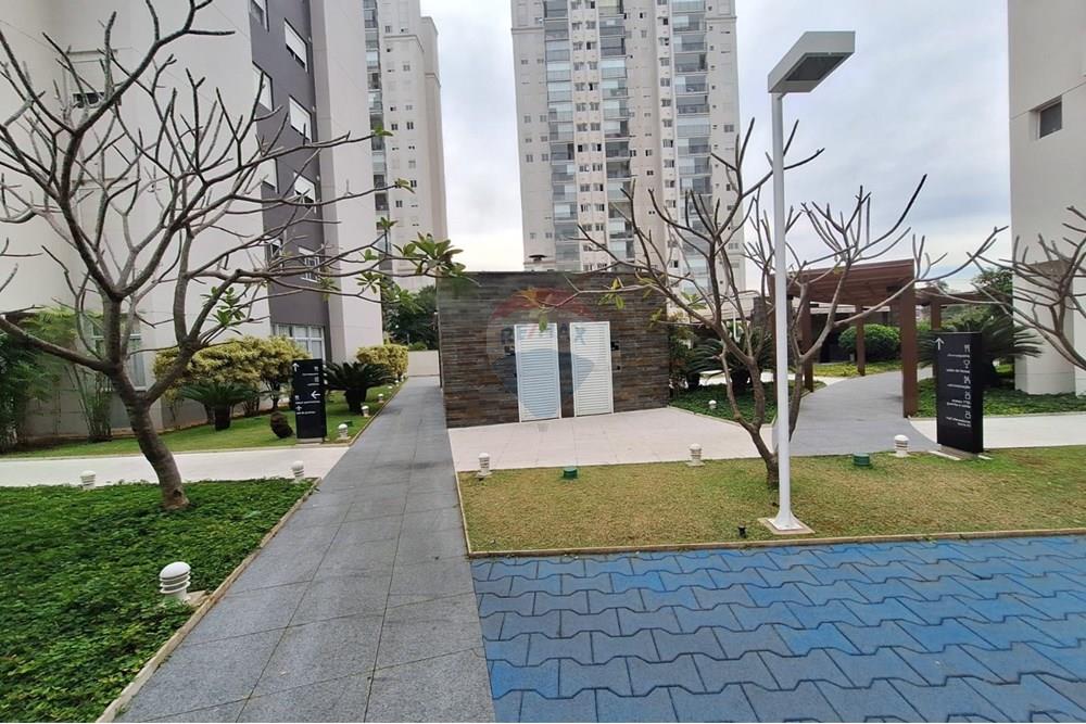 Apartamento - Alugar - São Paulo , São Paulo - Av Raimundo P Magalhães 909 ap 93 Bl2 (5).jpg - 601141076-19