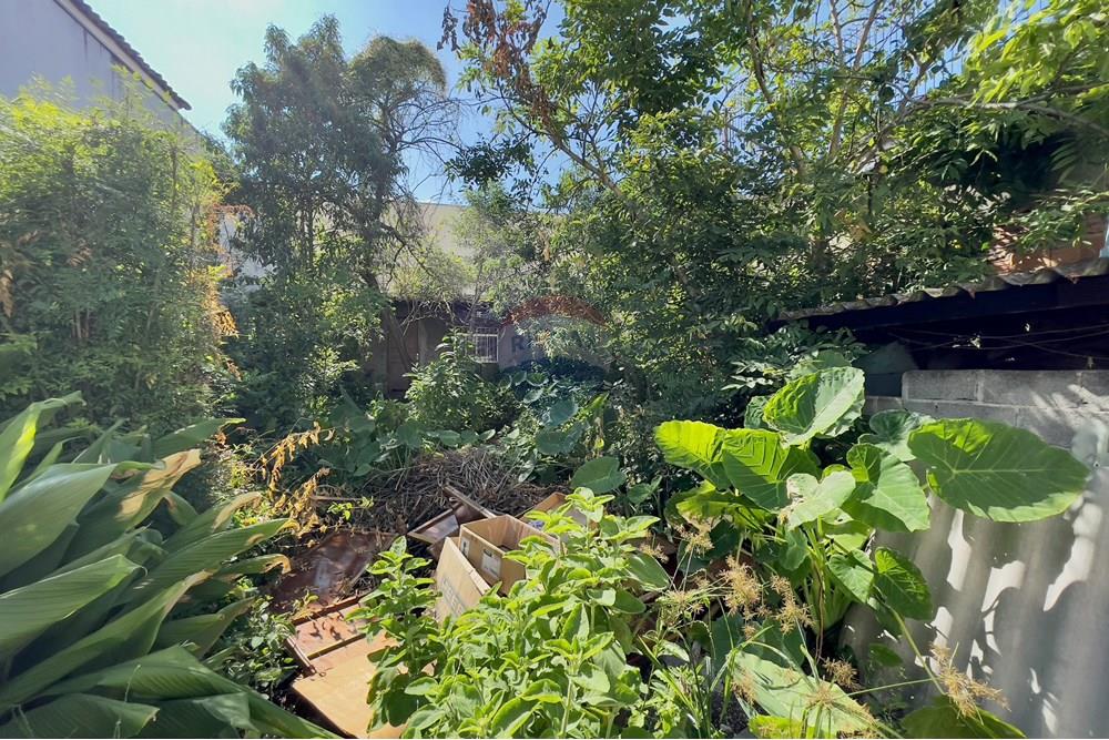 Ponto Comercial/ Loja - Venda - São Paulo , São Paulo - 601301067-6 Casa comercial venda na Rua Prof. Paulo Mangabeira Albernaz, 58-62 REMAX (53).jpeg - 601301067-6