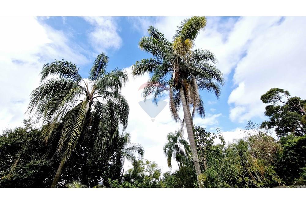 Casa de Campo - Venda - São Paulo , São Paulo - RUA DO ENGORDADOR, 100 (14).jpg - 601051032-131