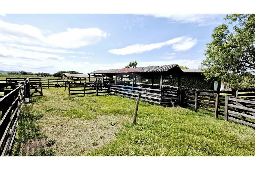 Fazenda - Venda - Itapetininga , São Paulo - SITIO ITAPETININGA (97).jpg - 602301007-5