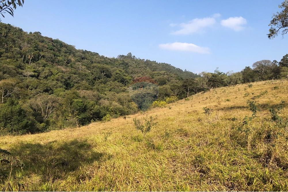 Terreno - Venda - Santana de Parnaíba , São Paulo - IMG_0055.jpg - 601081091-2