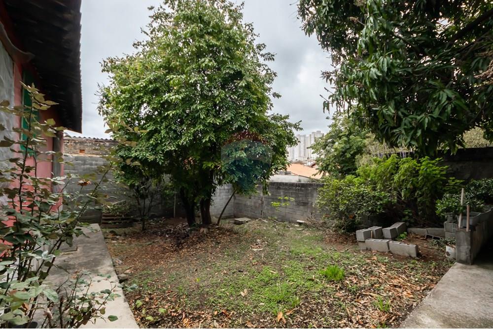 Casa - Venda - São Paulo , São Paulo - IMG_284802.jpg - 602261024-42