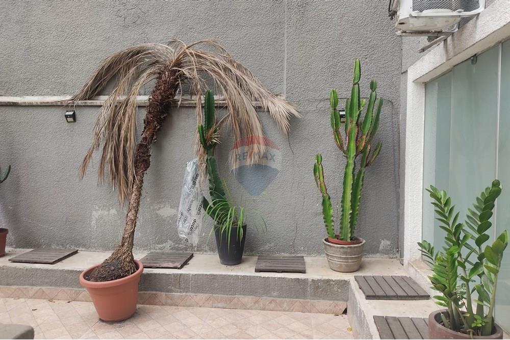 Casa - Alugar - São Paulo , São Paulo - WhatsApp Image 2025-02-05 at 15.45.26.jpeg - 602301001-85