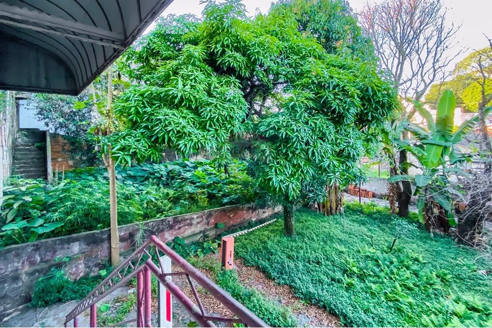 Casa Comercial - Venda - São Paulo , São Paulo - IMG_387747.jpg - 601461005-132