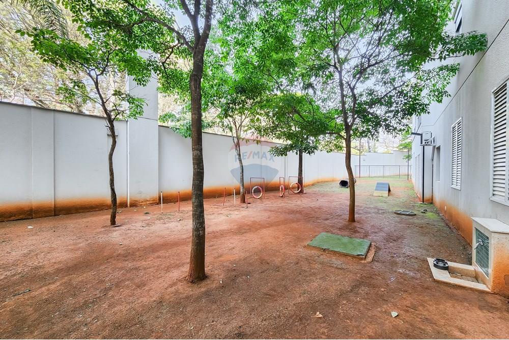 Apartamento - Venda - São Paulo , São Paulo - 20250929_14293434.jpg - 602241031-1