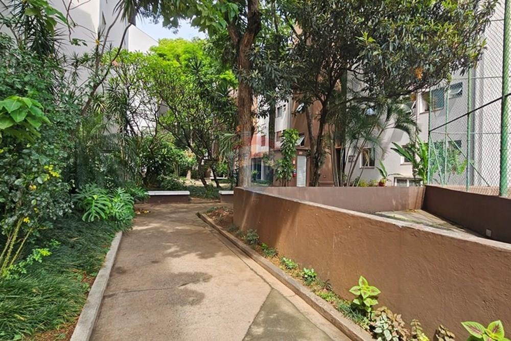 Apartamento - Alugar - São Paulo , São Paulo - 20250313_103318.jpg - 602101009-48