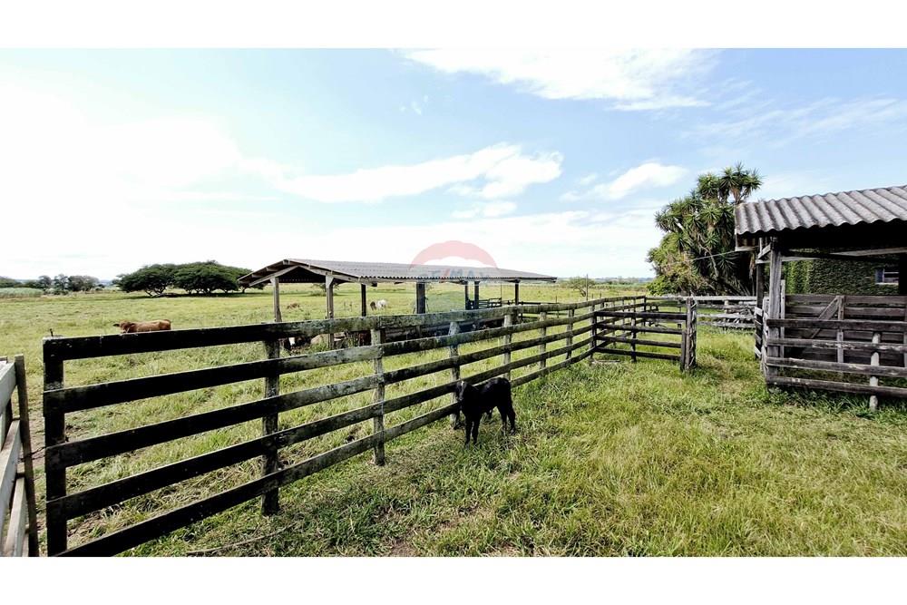 Fazenda - Venda - Itapetininga , São Paulo - SITIO ITAPETININGA (100).jpg - 602301007-5