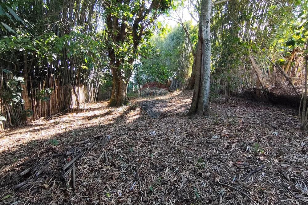 Wohnung - Grund - Ferraz de Vasconcelos , Sao Paulo - BR - IMG_20250918_150018.jpg - 601451005-109