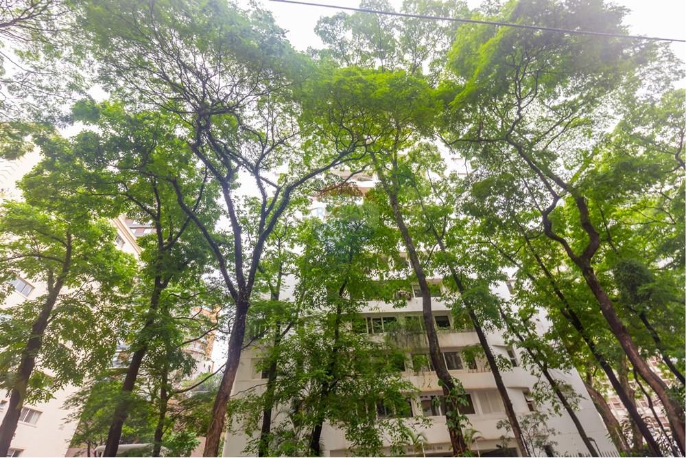 Apartamento - Alugar - São Paulo , São Paulo - _MG_1878.jpg - 601361020-381