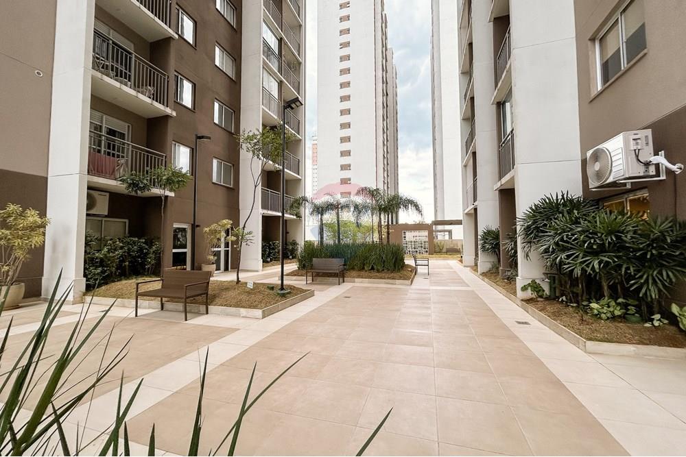 Apartamento - Alugar - São Paulo , São Paulo - IMG_1086.JPG - 601131004-147