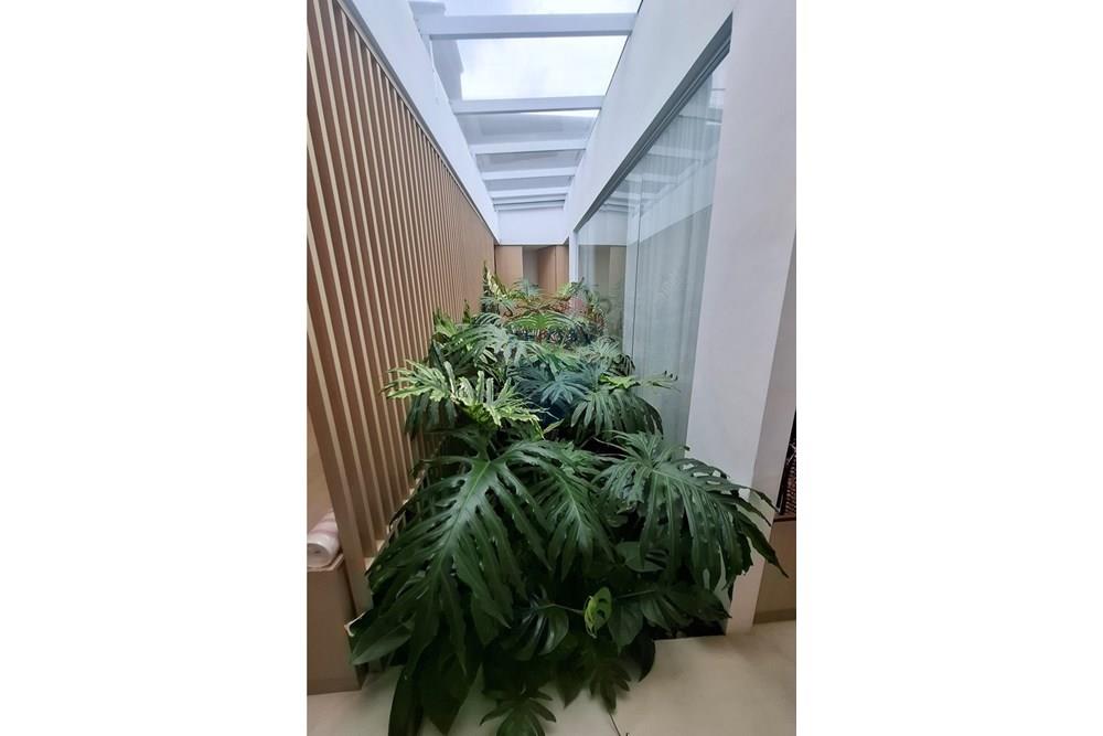 Ponto Comercial/ Loja - Alugar - São Paulo , São Paulo - 20251013_105622.jpg - 602241029-34