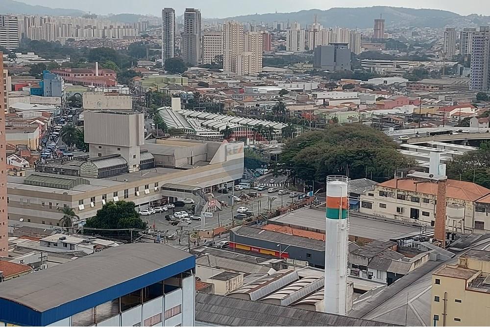 Apartamento - Alugar - São Paulo , São Paulo - 20250808_150155.jpg - 602381001-2