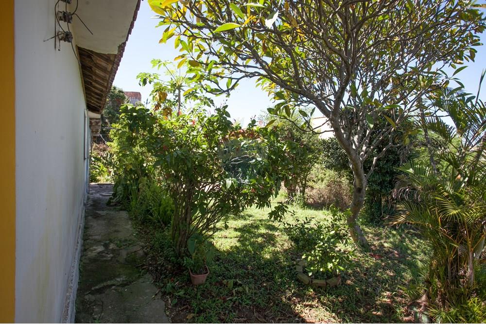 Terreno - Venda - São Paulo , São Paulo - IMG_6067.jpg - 601751009-328