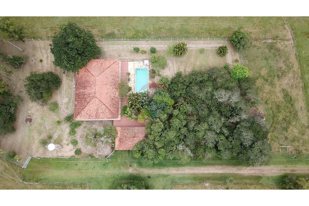 Fazenda - Venda - Itapetininga , São Paulo - SITIO ITAPETININGA (19).jpg - 602301007-5