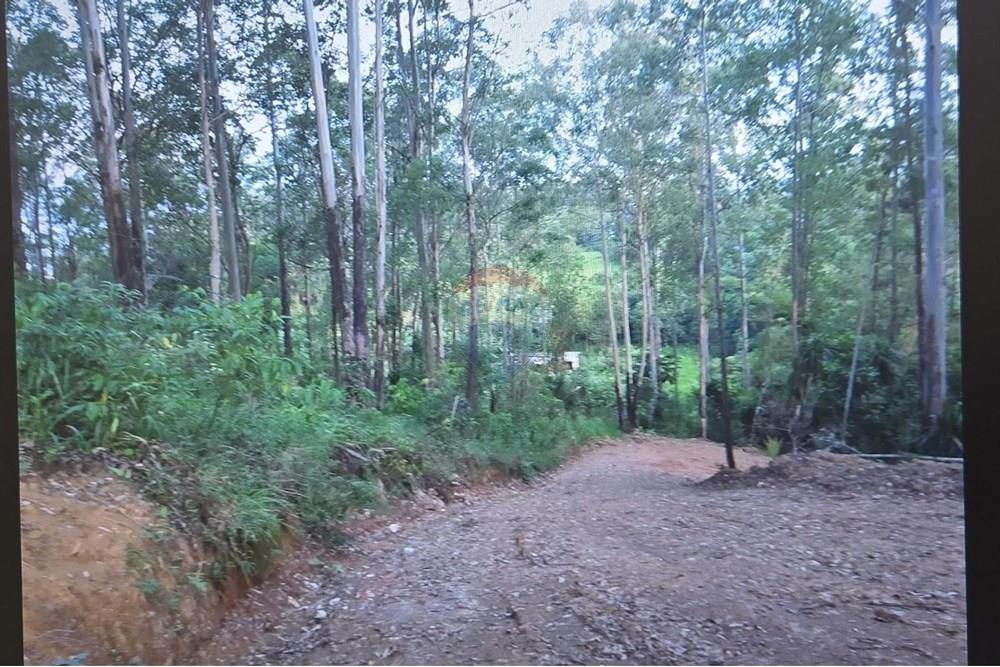 Terreno - Venda - São Paulo , São Paulo - 99df4367-657b-46ae-8146-db78e64f395f.jpeg - 601171010-41