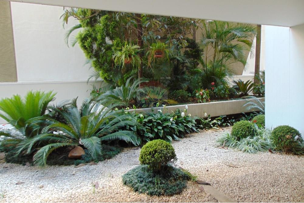 Apartamento - Alugar - São Paulo , São Paulo - DSC00115.JPG - 602271022-164