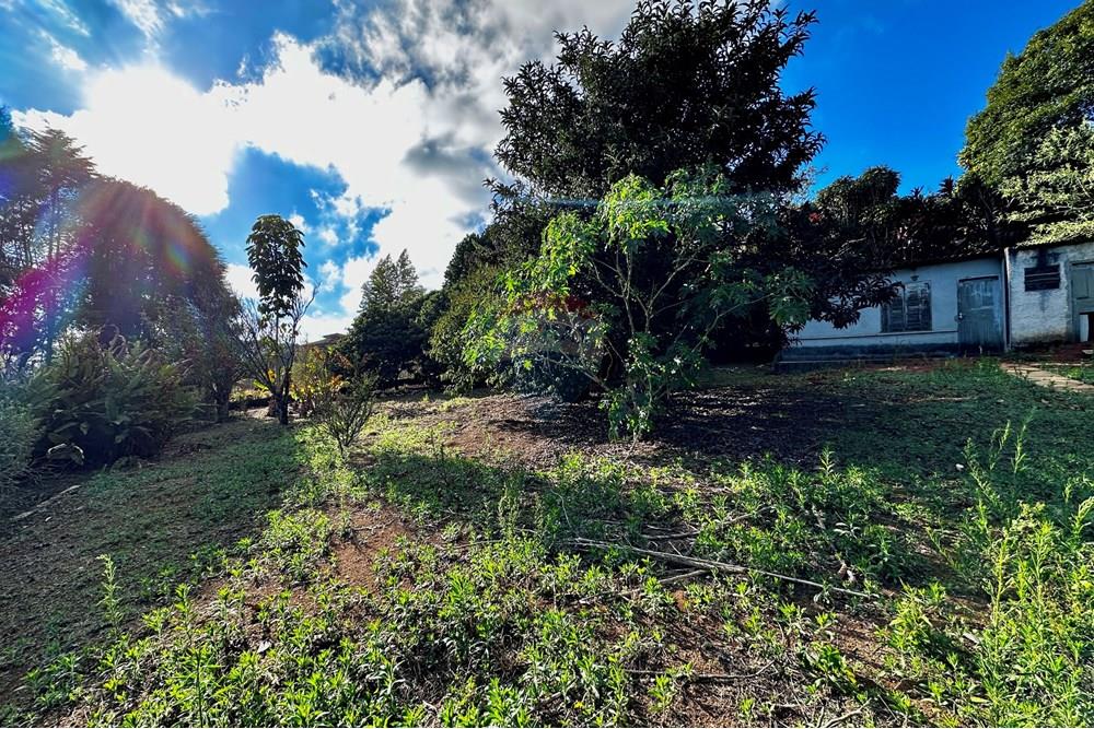 Casa - Venda - Cotia , São Paulo - IMG_8962.jpg - 602331010-36