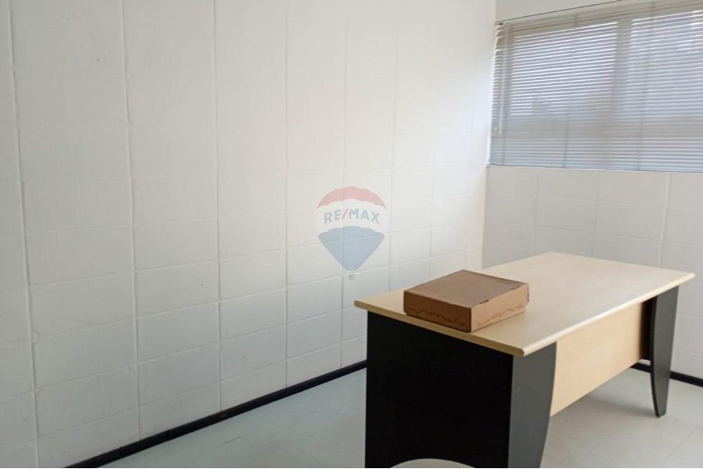 Prédio - Alugar - São Paulo , São Paulo - WhatsApp Image 2025-09-05 at 11.10.17.jpeg - 601971101-14