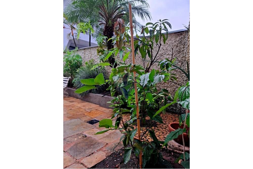 Sobrado - Alugar - São Paulo , São Paulo - 11.jpeg - 602291016-82