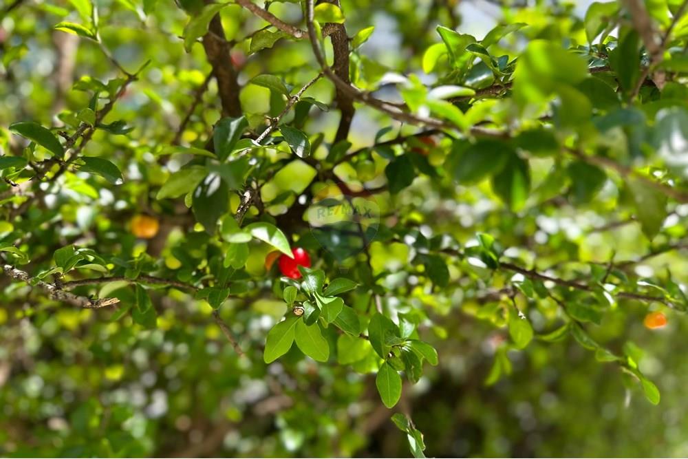 Apartamento - Alugar - São Paulo , São Paulo - TakeDroneBr-21659.jpg - 602151008-144