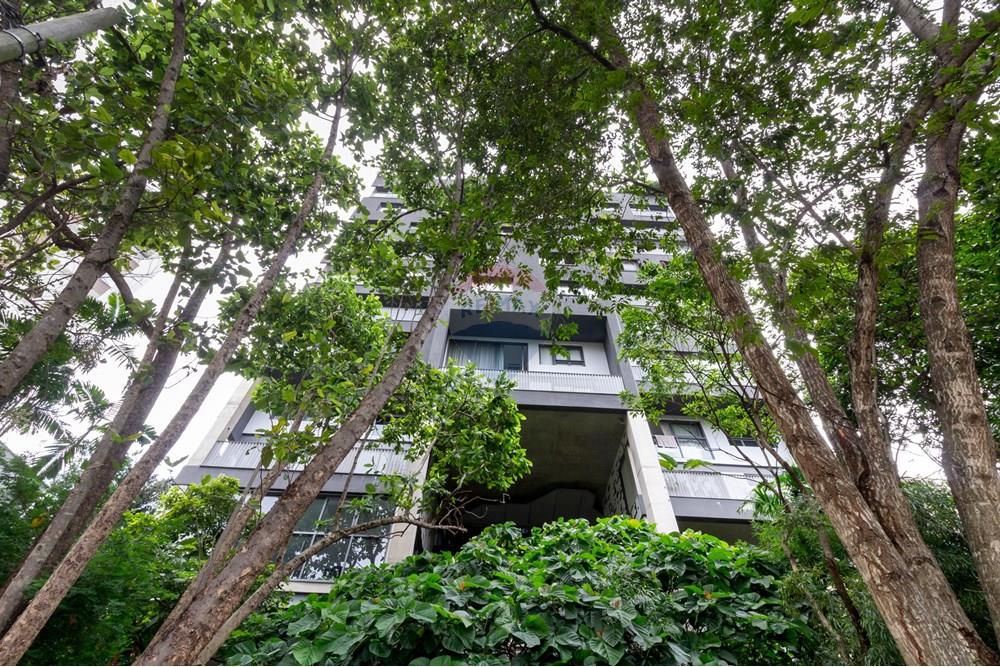 Apartamento - Alugar - São Paulo , São Paulo - 14 FACHADA (2).jpg - 601261064-208