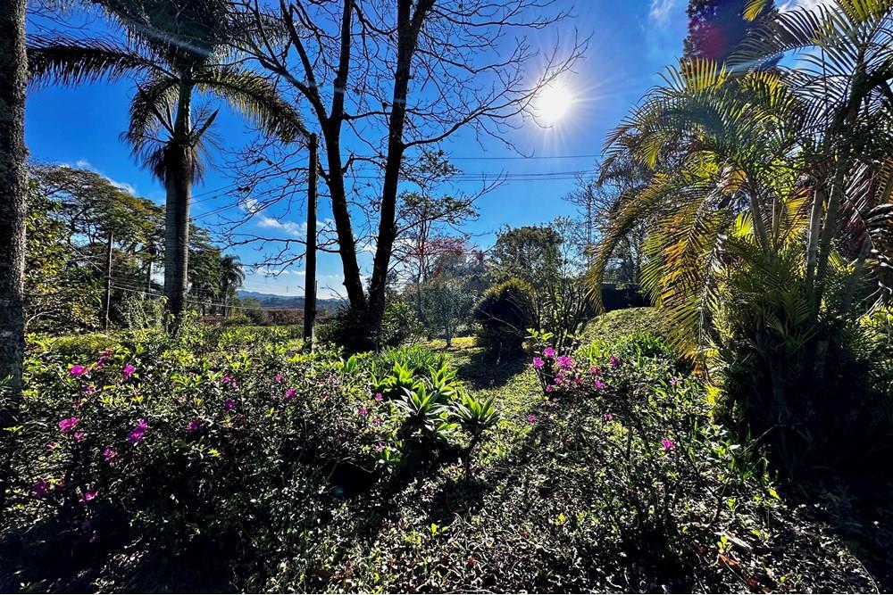 Terreno - Venda - Cotia , São Paulo - IMG_9049.jpg - 602331010-41