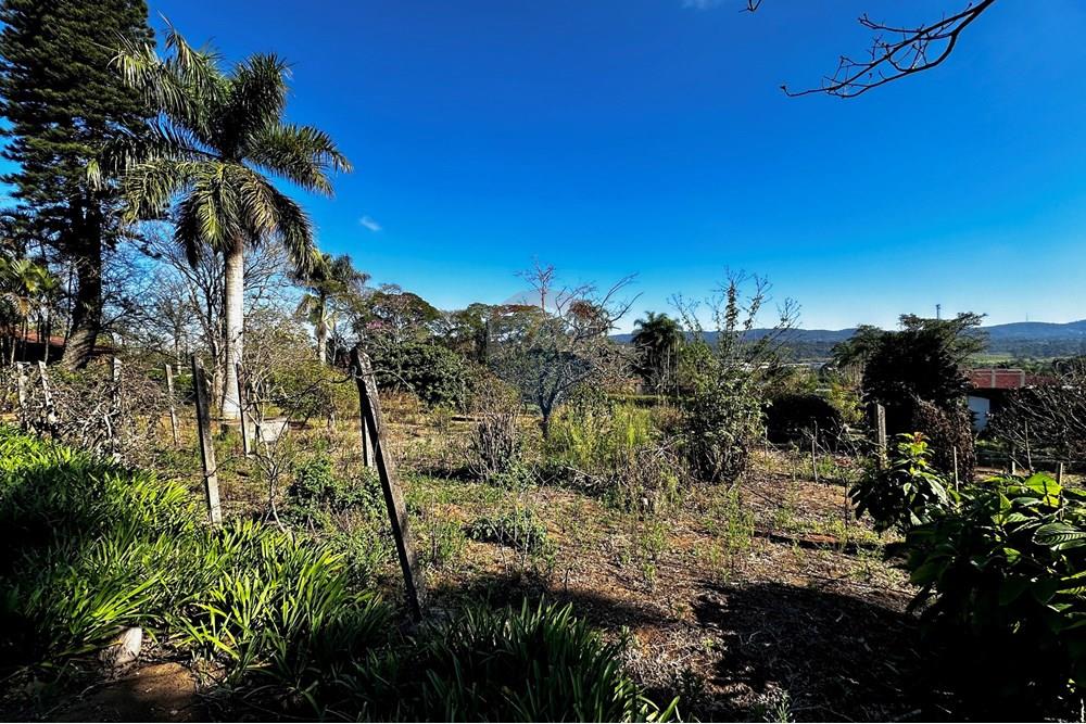 Terreno - Venda - Cotia , São Paulo - IMG_9076.jpg - 602331010-41