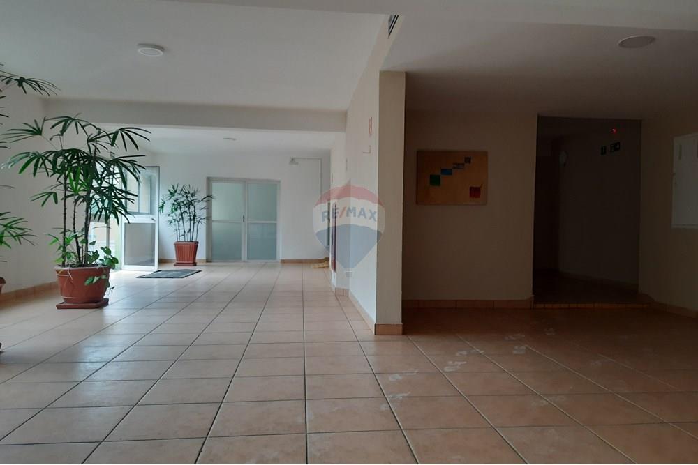 Kitnet - Alugar - São Paulo , São Paulo - 20250725_122842.jpg - 602171001-18