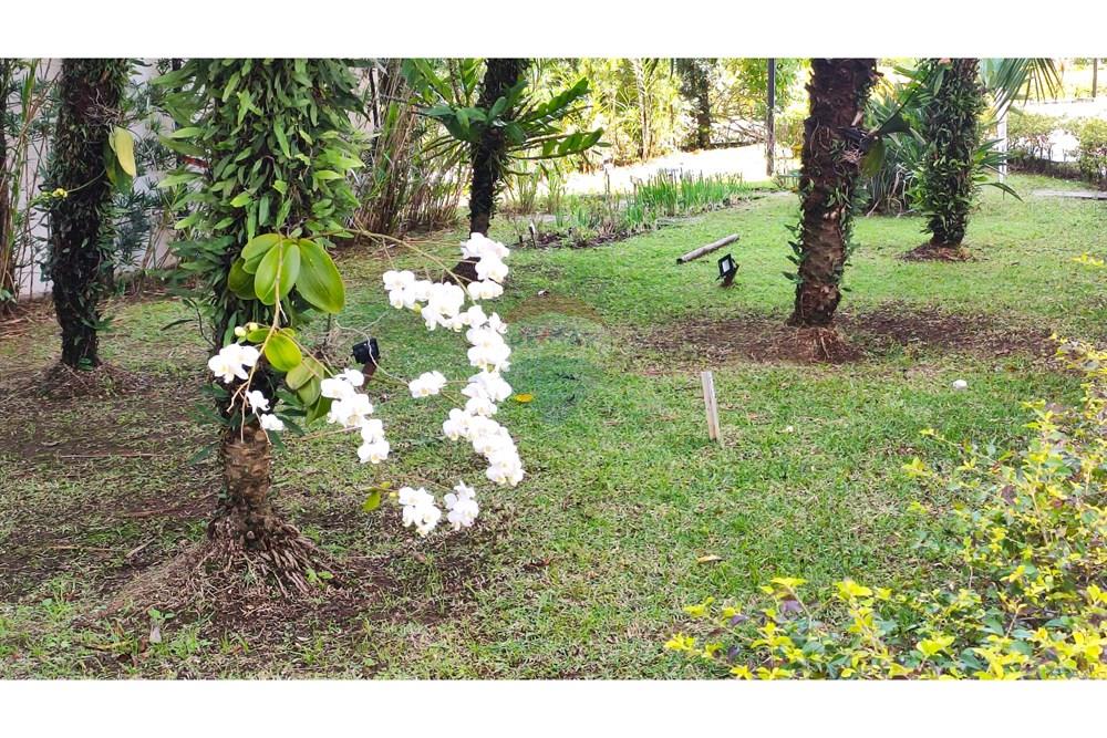 Apartamento - Venda - São Paulo , São Paulo - IMG_20250902_130541.jpg - 602281031-31