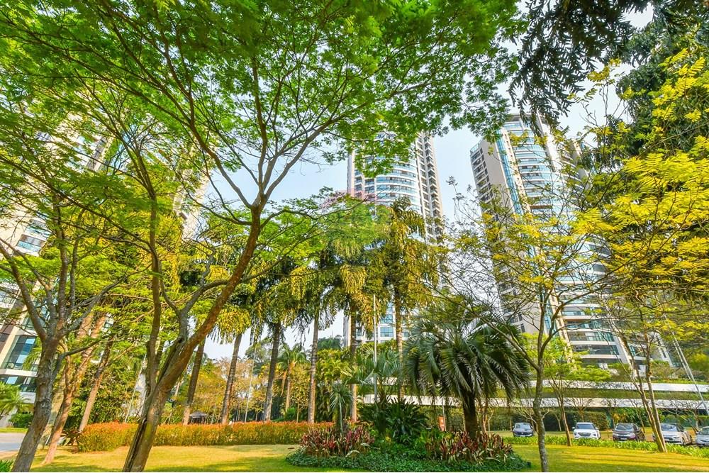 Cobertura - Venda - São Paulo , São Paulo - Foto-50.jpg - 601251016-70