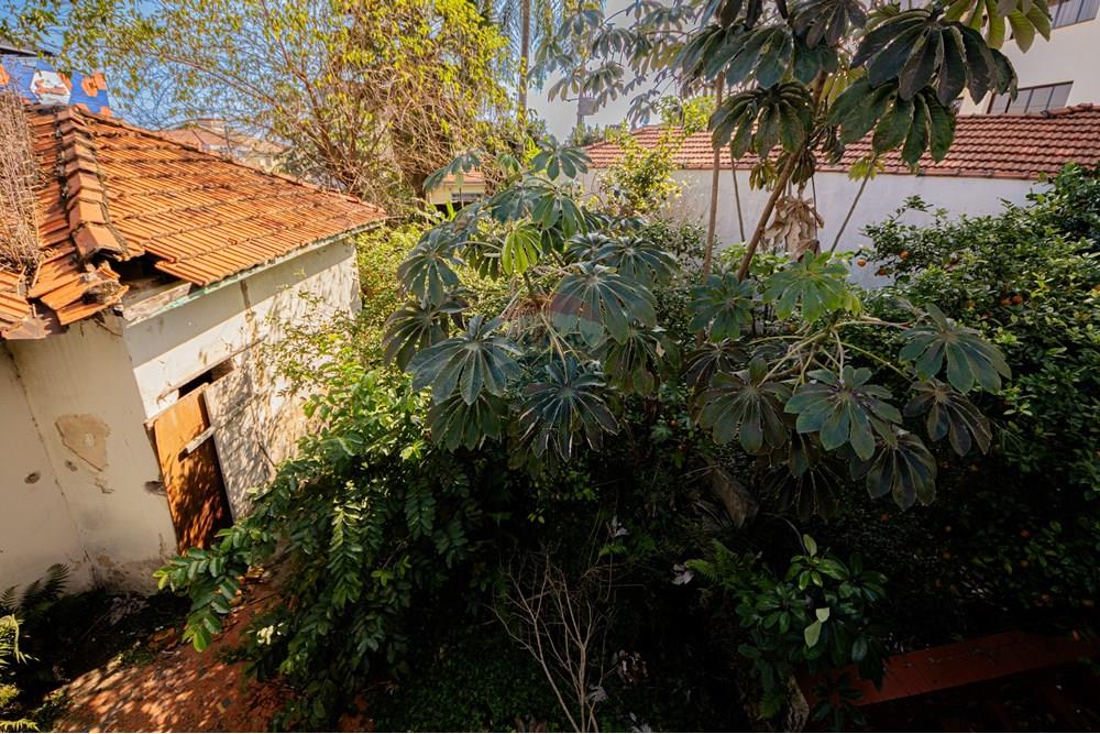 Terreno - Venda - São Paulo , São Paulo - Cópia de IMG_1639.jpg - 601721028-45