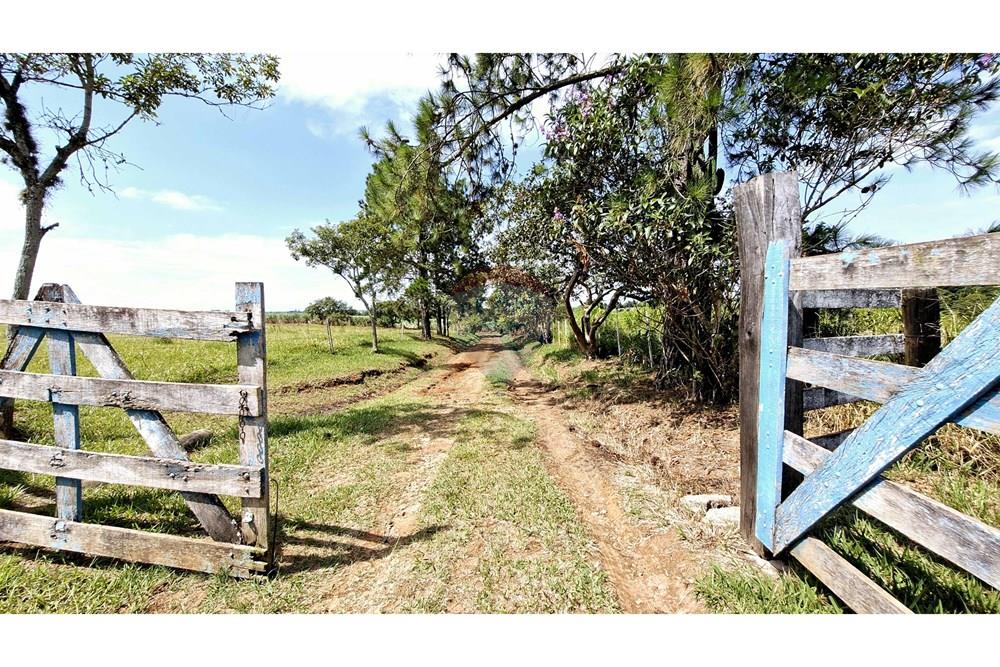 Fazenda - Venda - Itapetininga , São Paulo - SITIO ITAPETININGA (94).jpg - 602301007-5