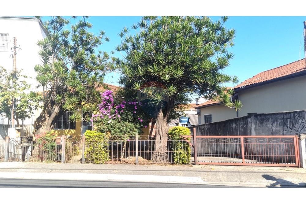 Terreno - Venda - São Paulo , São Paulo - 2.jpeg - 602291016-216